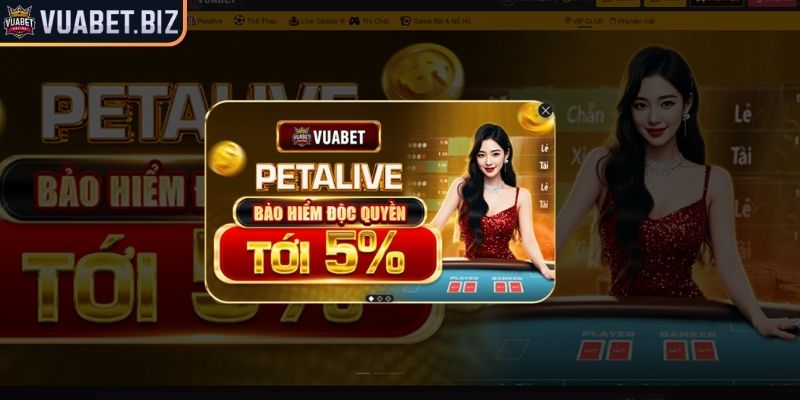 Khuyến Mãi Vuabet - Ưu Đãi Cực Khủng Dành Cho Hội Viên 2025 1 Điều kiện tham gia khuyến mãi tại nhà cái Vuabet